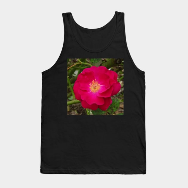 Golden Stamen Rose Tank Top by Julie Vaux